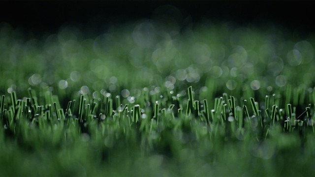 Close up on artificial turf by FieldTurf